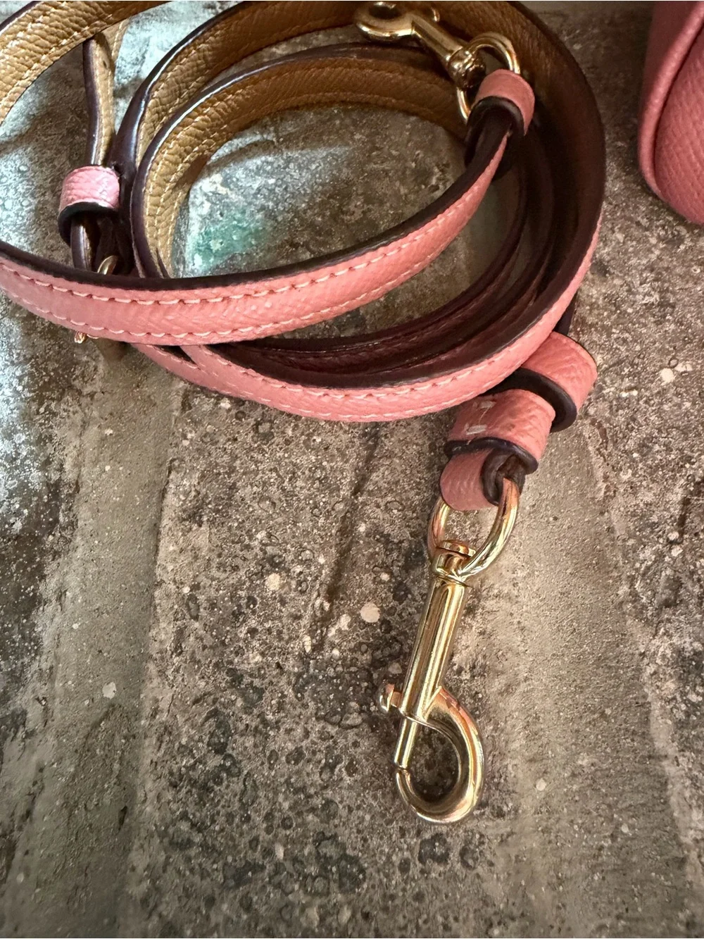 COACH Pink Leather Satchel with Minnie Roller Skate Graphic